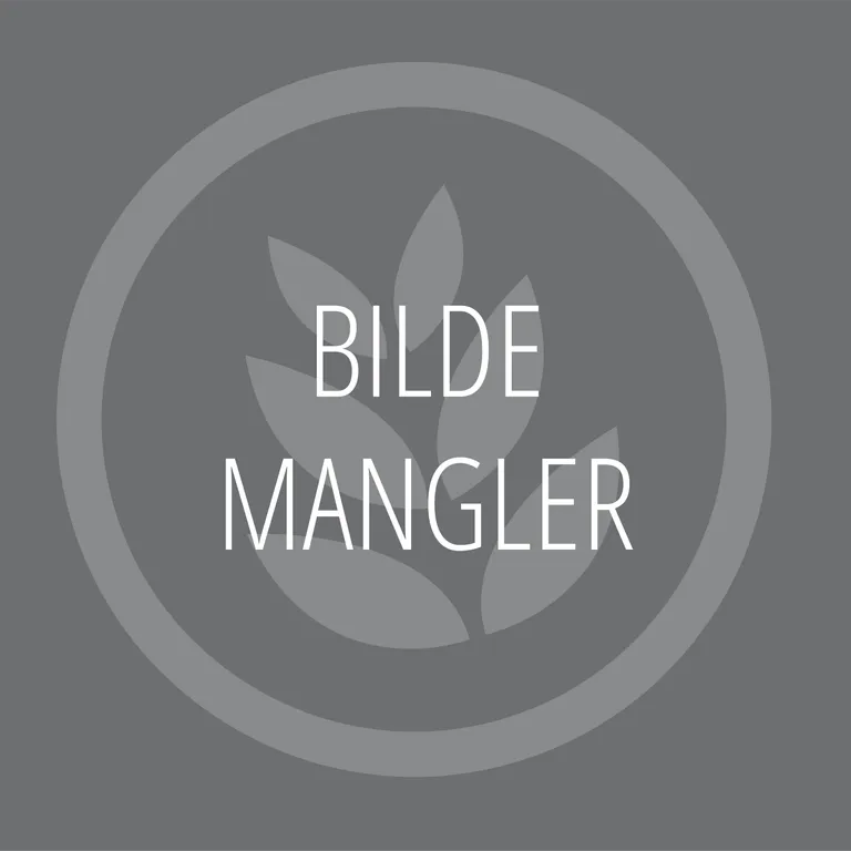 Tidsur til Pizzamaster ED-ovner